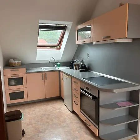 U Stareho Labe Apartment Nymburk